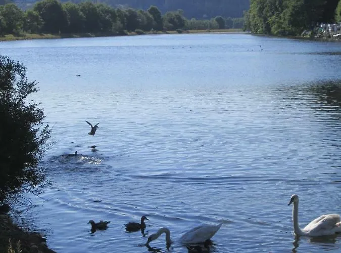 Erlenhof * Engelskirchen